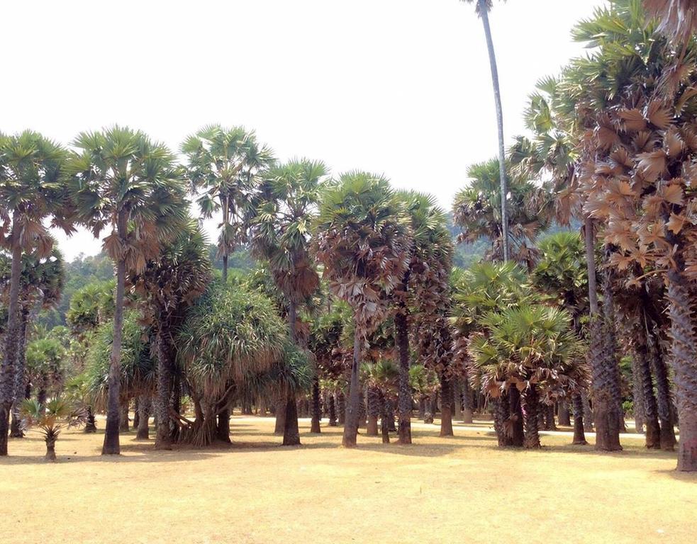 Lanta Wanida Resort Ко-Ланта Экстерьер фото
